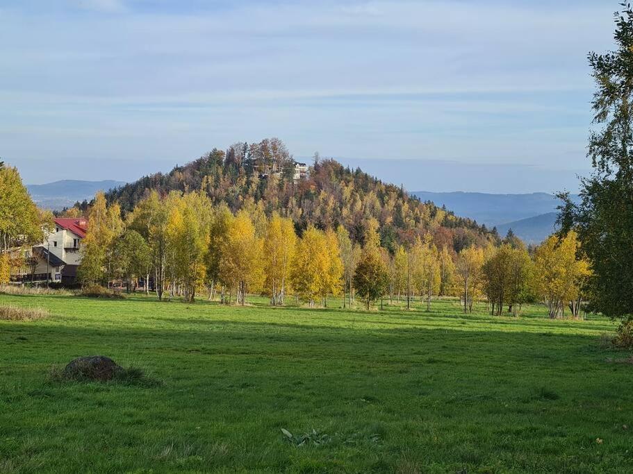Rezydencja Green Hill - Ekskluzywny Dom W Karpaczu מראה חיצוני תמונה