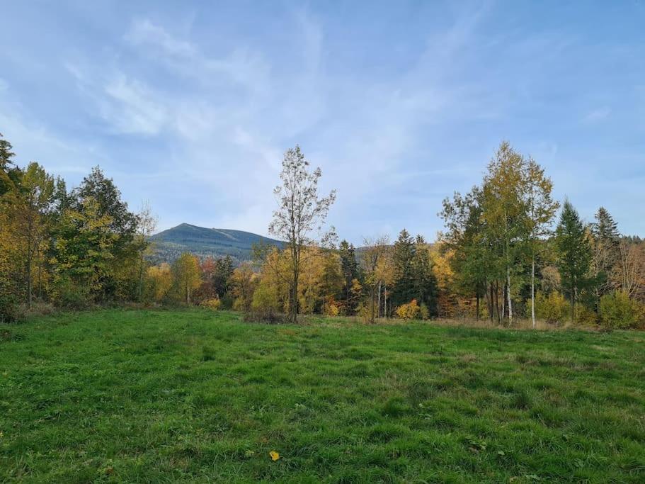 Rezydencja Green Hill - Ekskluzywny Dom W Karpaczu מראה חיצוני תמונה